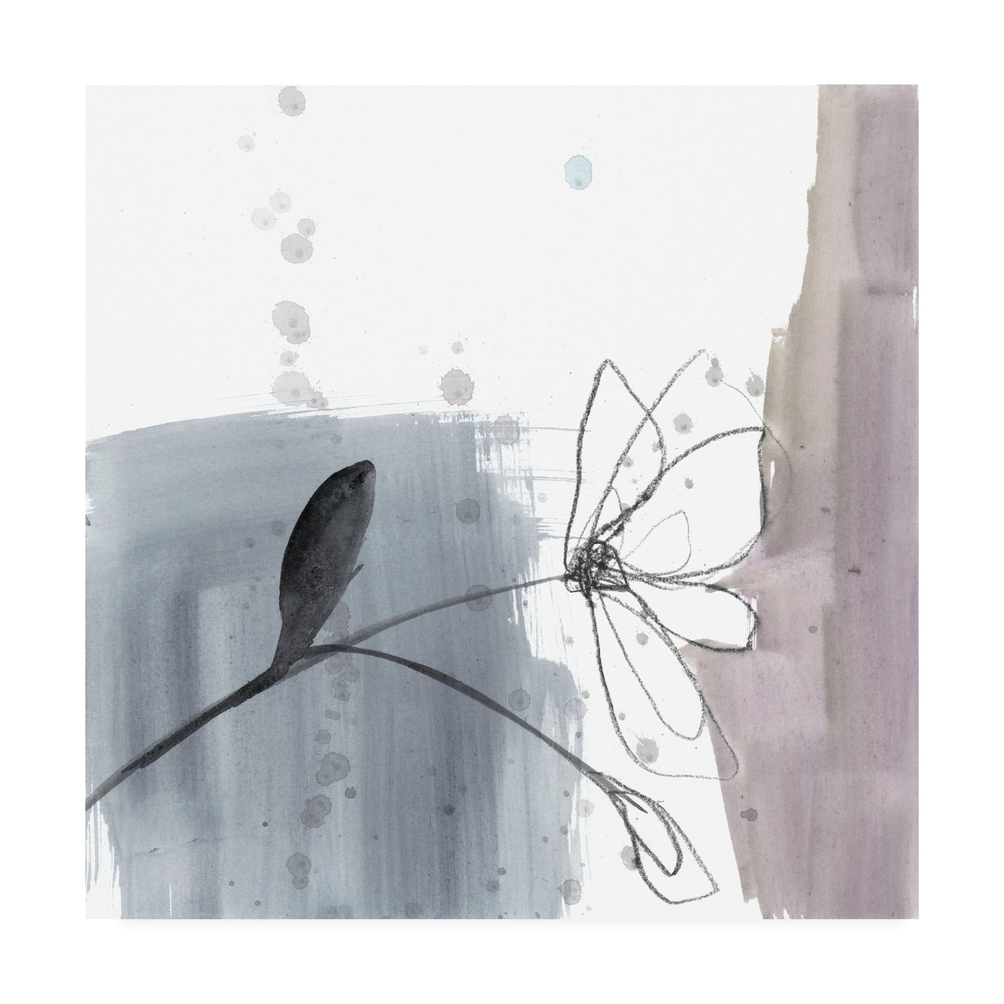 Trademark Fine Art 'UA CH Blush Flower Splash III' Canvas Art by Jennifer Goldberger