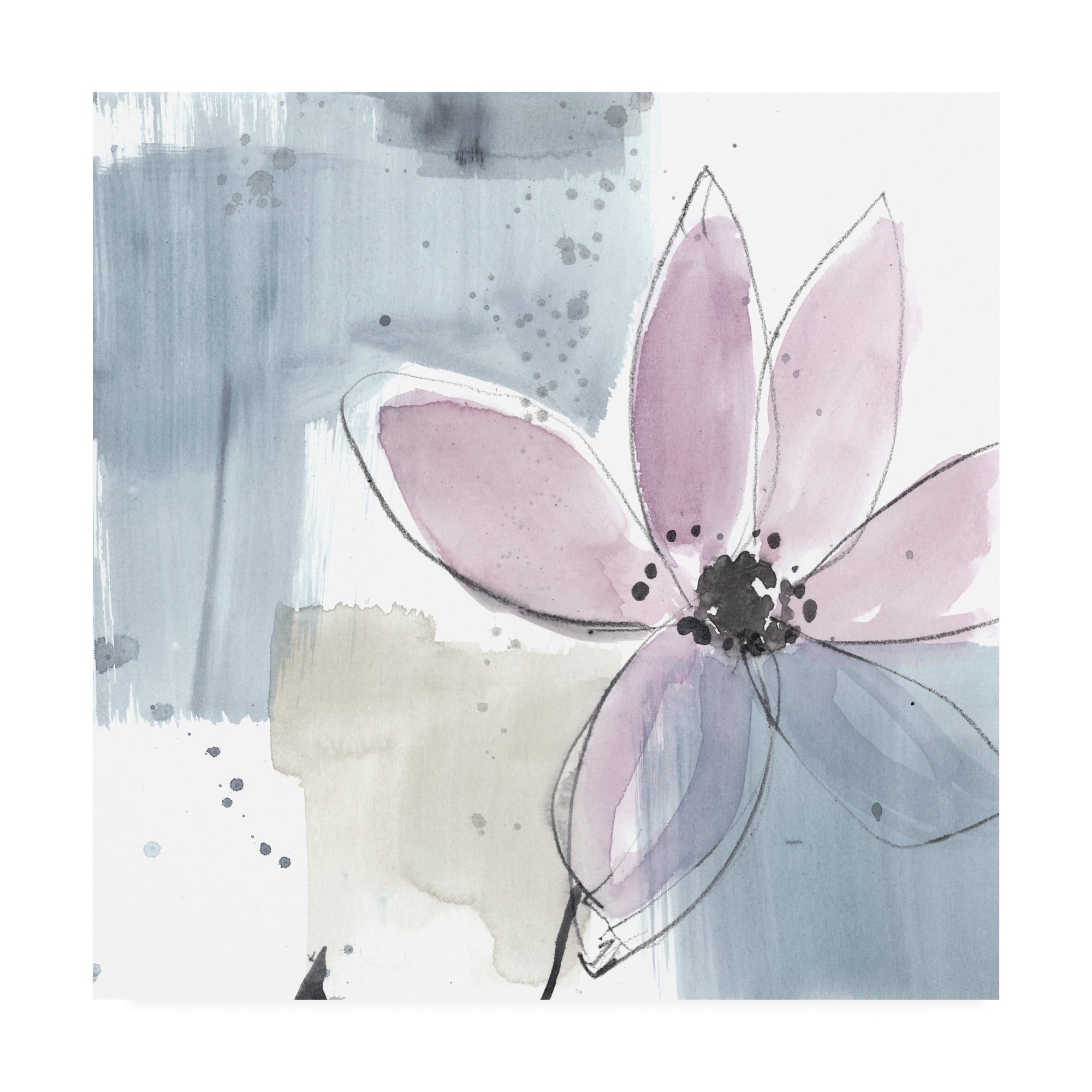 Trademark Fine Art 'UA CH Blush Flower Splash VI' Canvas Art by Jennifer Goldberger