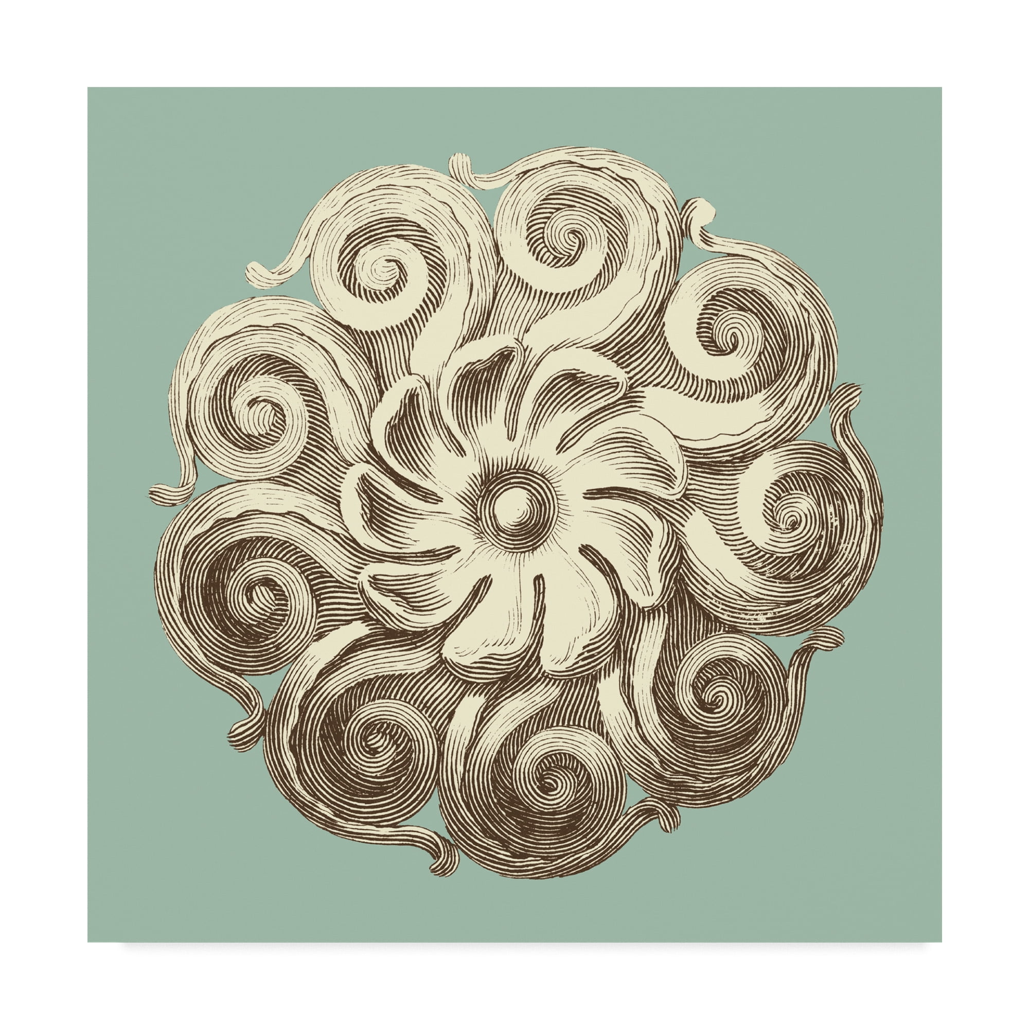 Trademark Fine Art 'UA CH Celadon and Mocha Rosette I' Canvas Art by Vision Studio