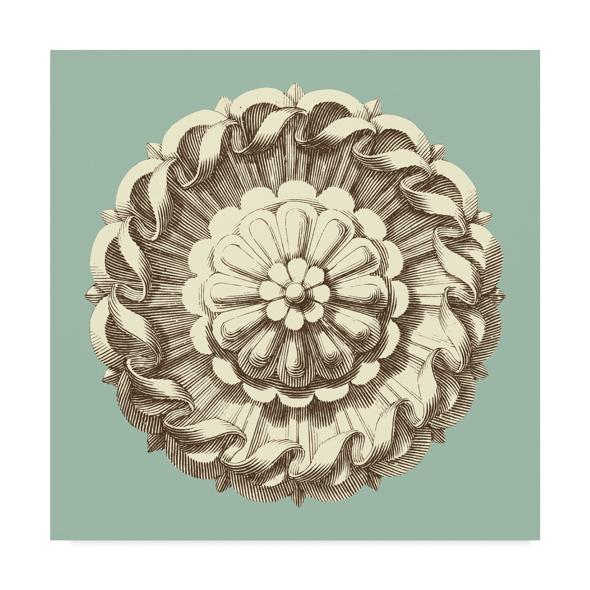 Trademark Fine Art 'UA CH Celadon and Mocha Rosette IV' Canvas Art by Vision Studio