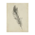 thumbnail image 1 of Trademark Fine Art 'UA CH Feather Sketch IV' Canvas Art by Ethan Harper, 1 of 4
