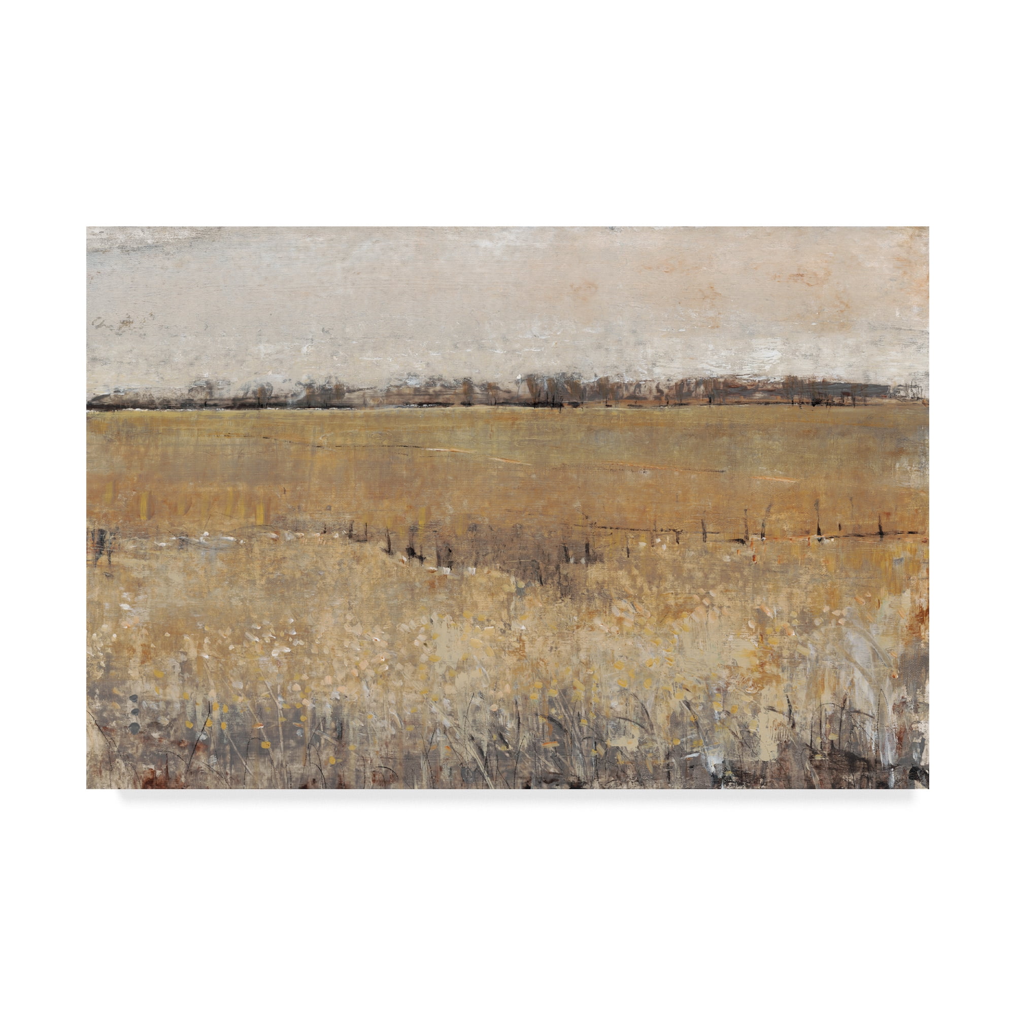 Trademark Fine Art 'UA CH Fenced In II' Canvas Art by Tim OToole
