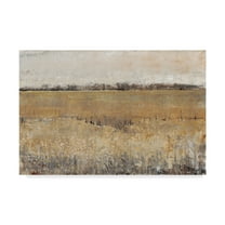 Trademark Fine Art 'UA CH Fenced In II' Canvas Art by Tim OToole
