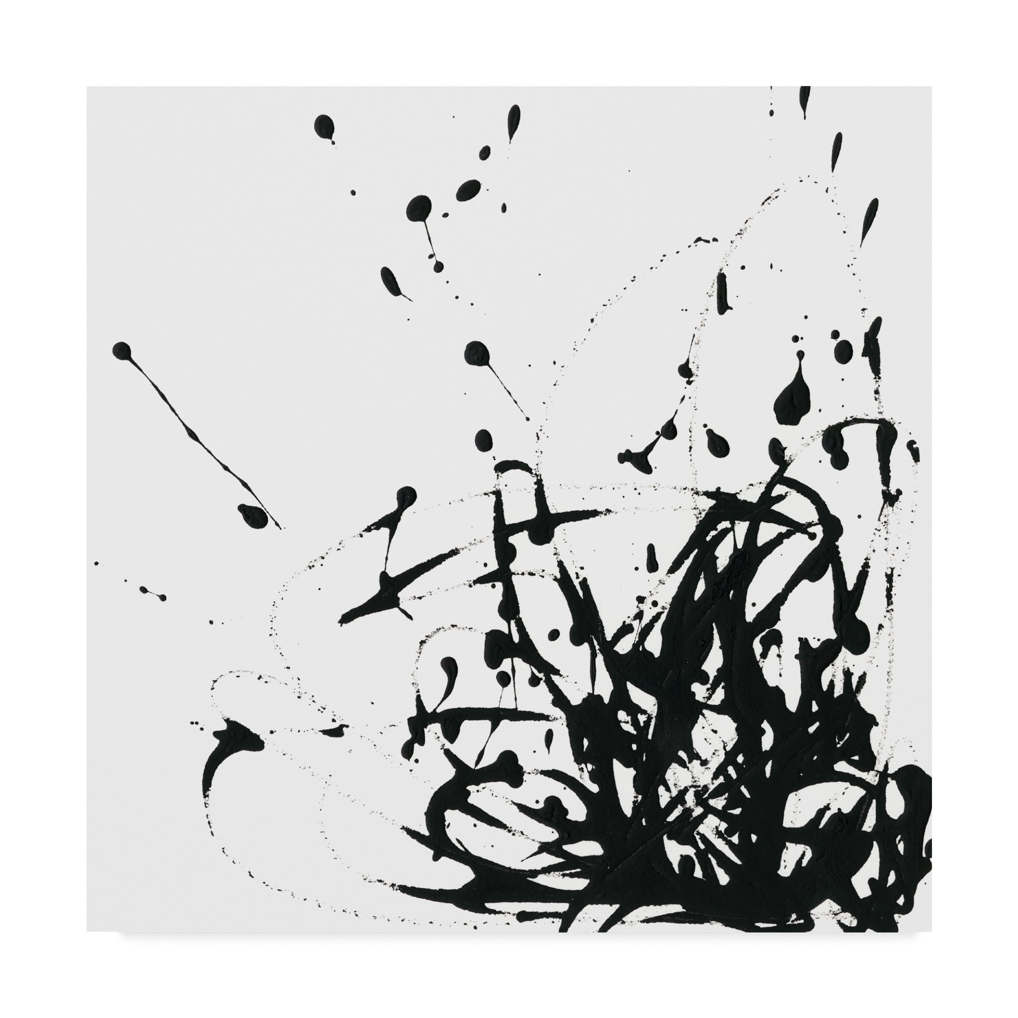 Trademark Fine Art 'UA CH Onyx Expression II' Canvas Art by June Erica Vess