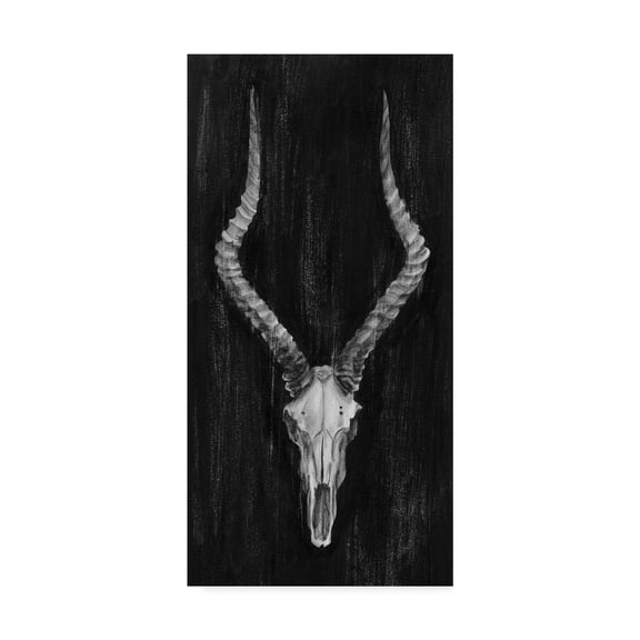 Trademark Fine Art 'UA CH Rustic European Mount II' Canvas Art by Ethan Harper