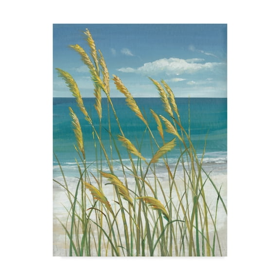 Trademark Fine Art 'UA CH Summer Breeze I' Canvas Art by Tim OToole