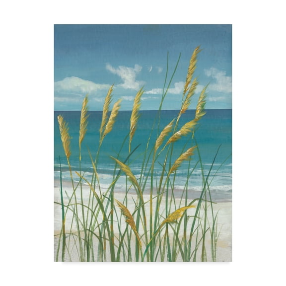 Trademark Fine Art 'UA CH Summer Breeze II' Canvas Art by Tim OToole