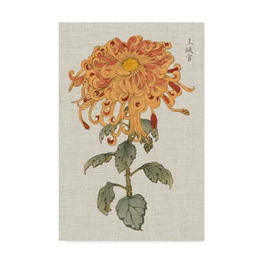 Trademark Fine Art 'UA CH Vibrant Mums I' Canvas Art by Vision Studio