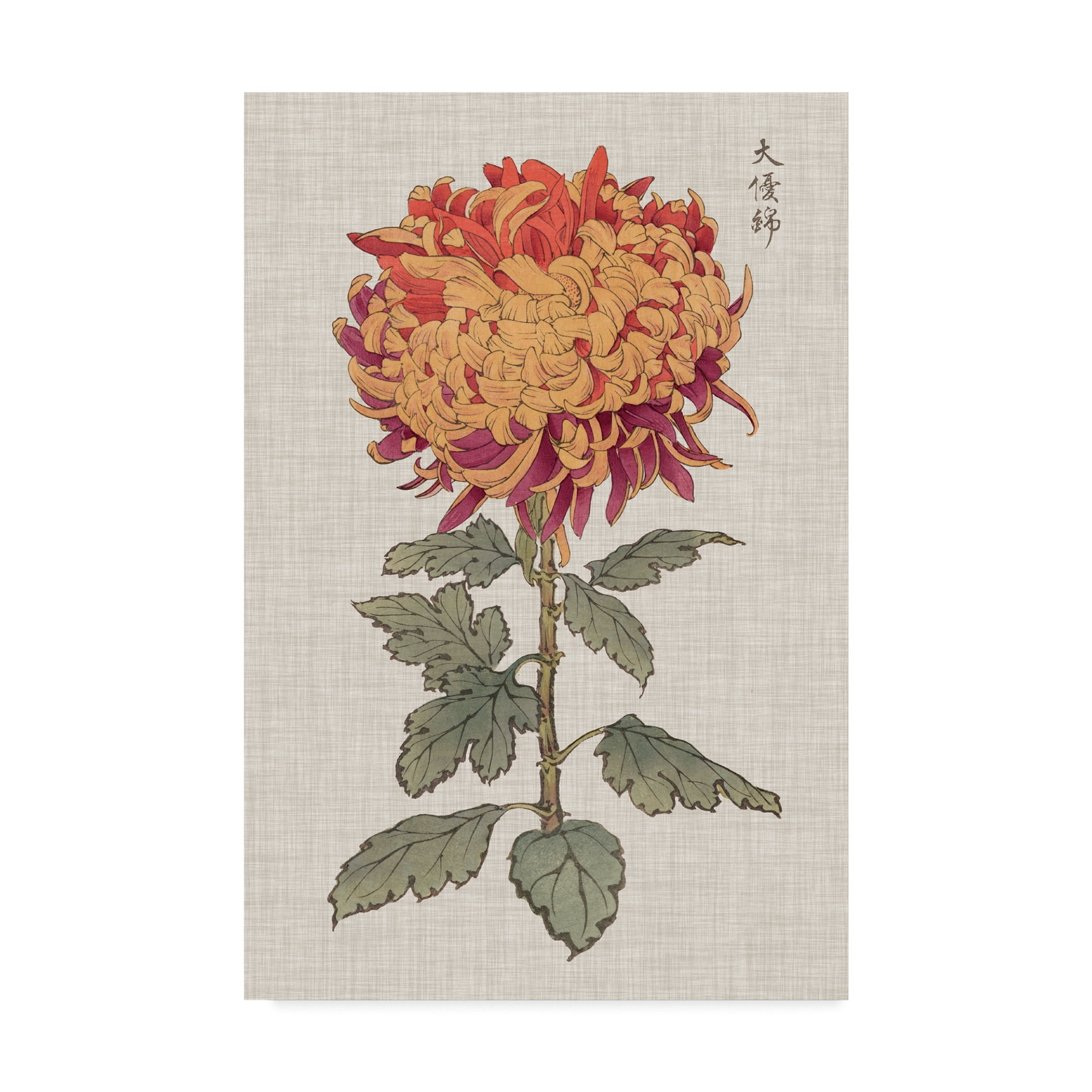 Trademark Fine Art 'UA CH Vibrant Mums III' Canvas Art by Vision Studio