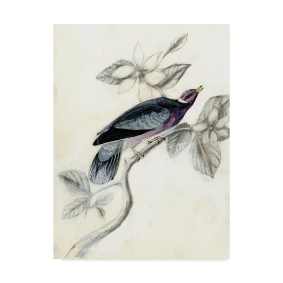 Trademark Fine Art 'UA CHBR Rustic Aviary I' Canvas Art by Naomi McCavitt