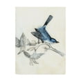 thumbnail image 1 of Trademark Fine Art 'UA CHBR Rustic Aviary III' Canvas Art by Naomi McCavitt, 1 of 4
