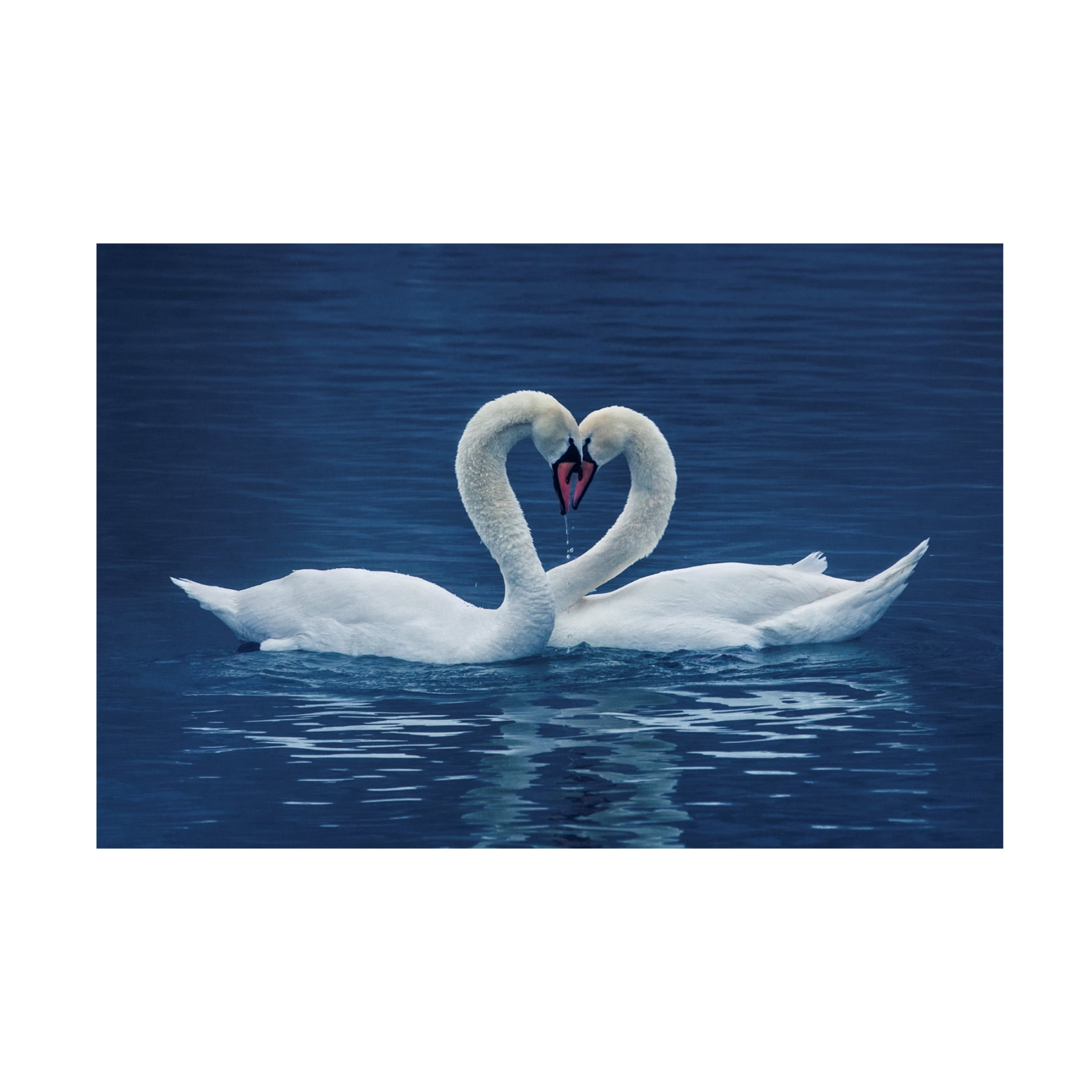 Trademark Fine Art UU CP Canvas Wall Art