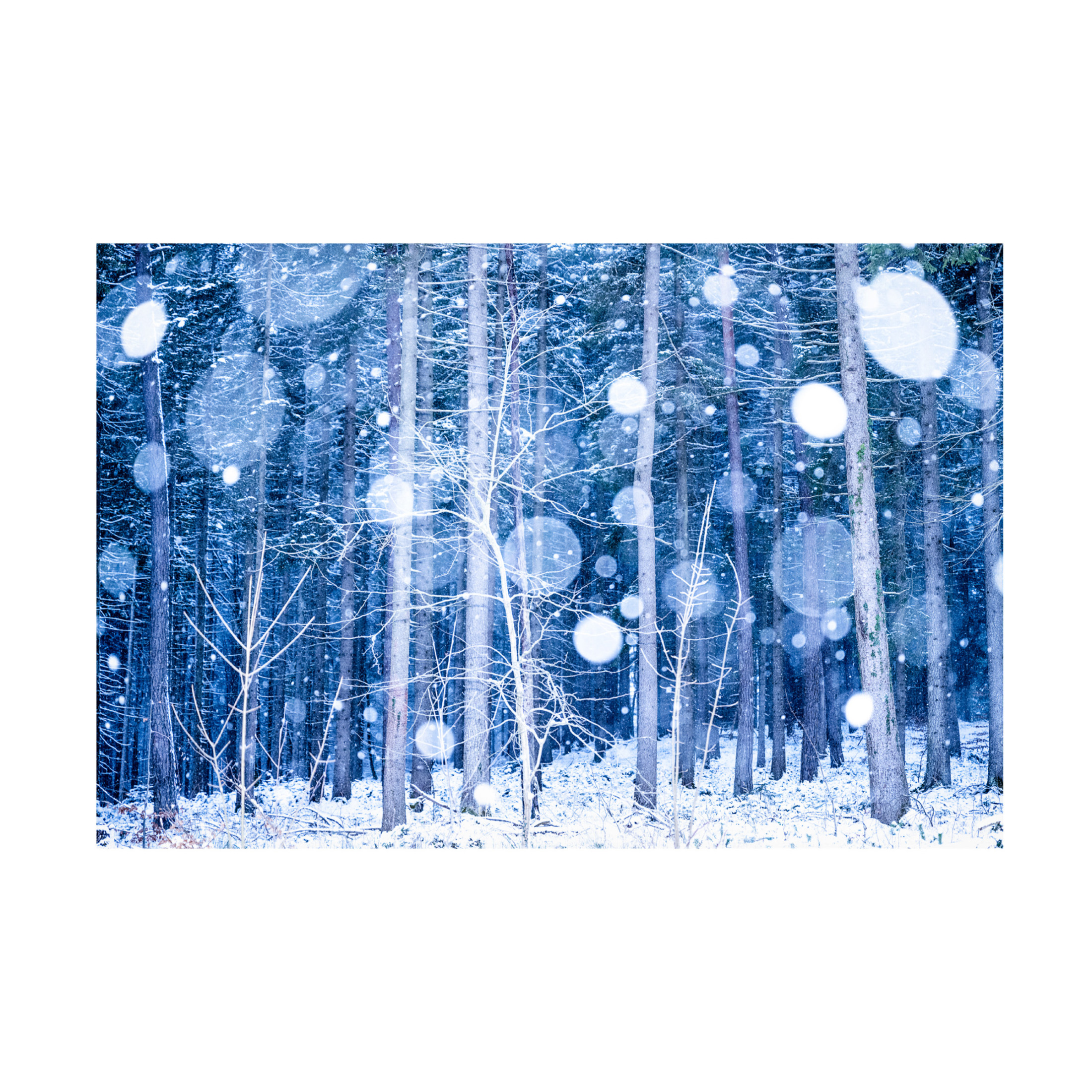 Trademark Fine Art Ulrike Eisenmann Snowscape Canvas Wall Art