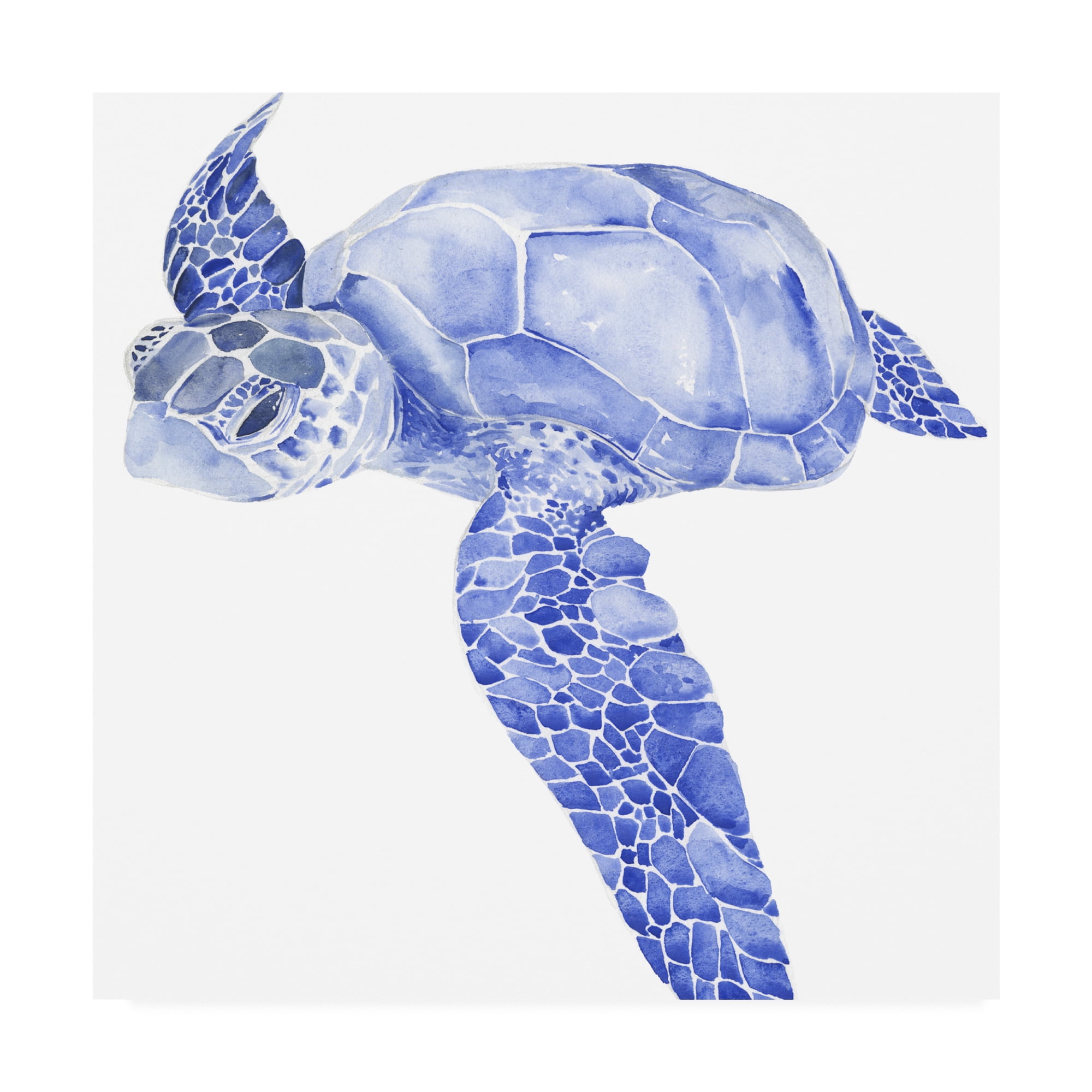 24" x 24" Coastal Blue Sea Turtle Canvas Art