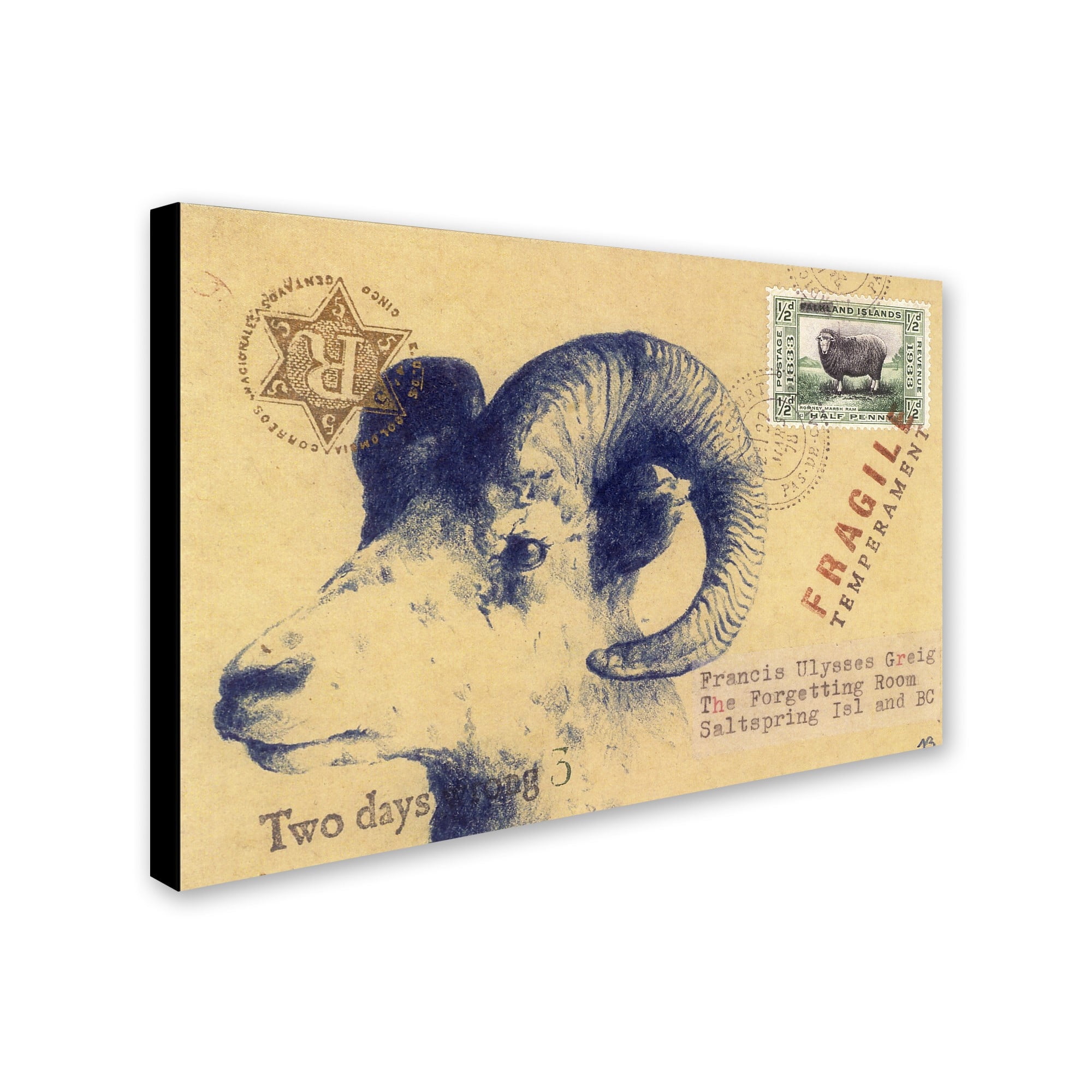 Trademark Fine Art 'Ulysses' Canvas Art by Nick Bantock