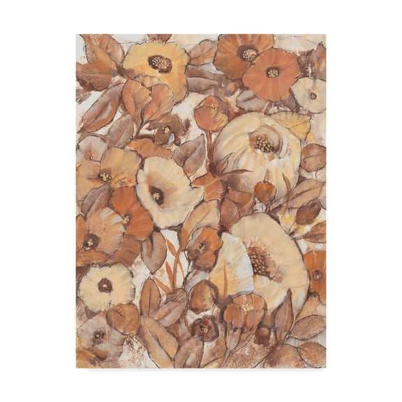 Trademark Fine Art 'Umber Garden I' Canvas Art by Tim OToole