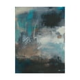 thumbnail image 1 of Trademark Fine Art 'Umbra I' Canvas Art by Sue Jachimiec, 1 of 4