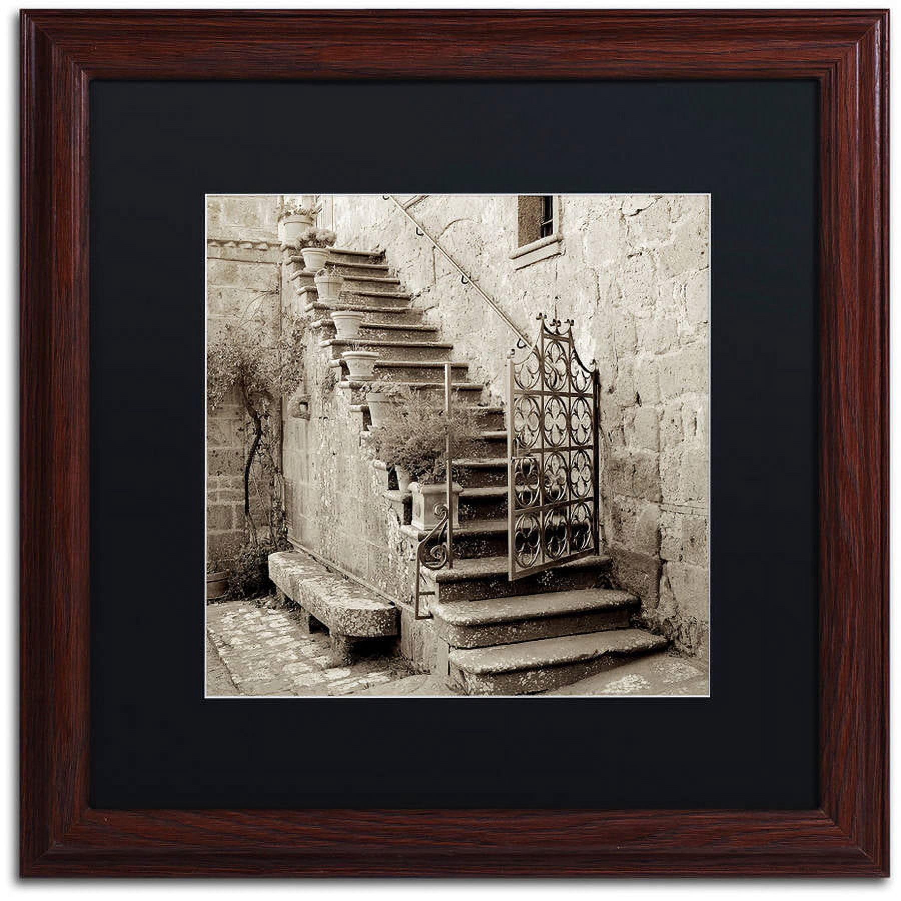 Trademark Fine Art "Umbria Scala I" Canvas Art by Alan Blaustein, Black Matte, Wood Frame
