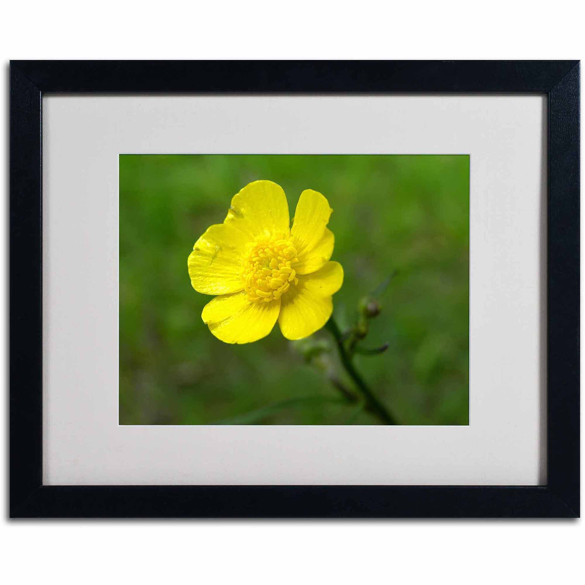 Trademark Fine Art "Unadorned" Canvas Art by Monica Fleet, White Matte, Black Frame