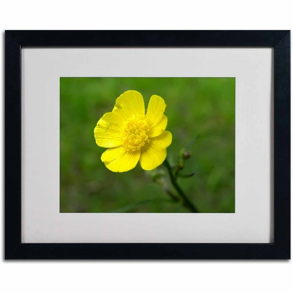 Trademark Fine Art "Unadorned" Canvas Art by Monica Fleet, White Matte, Black Frame