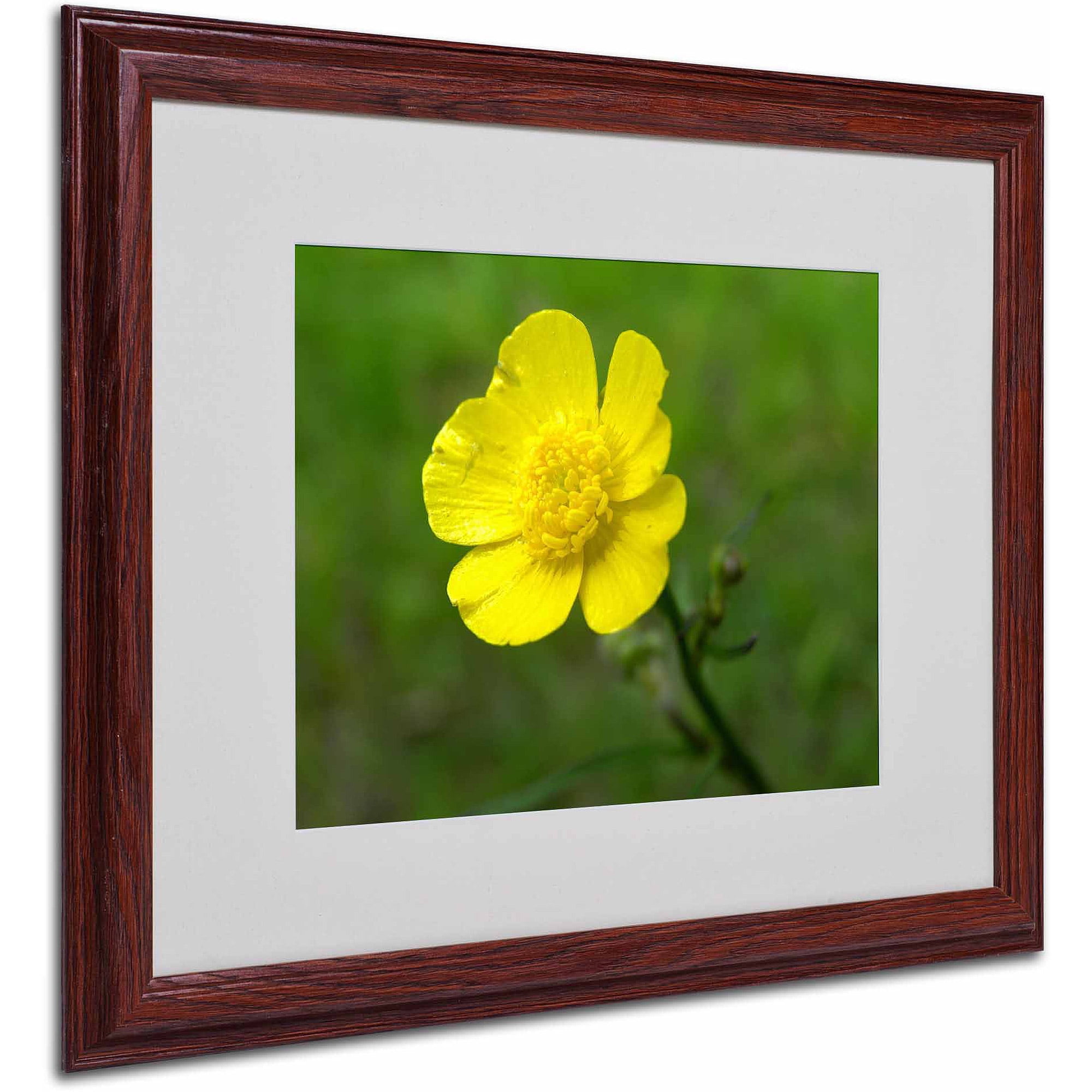 Trademark Fine Art "Unadorned" Canvas Art by Monica Fleet, White Matte, Wood Frame