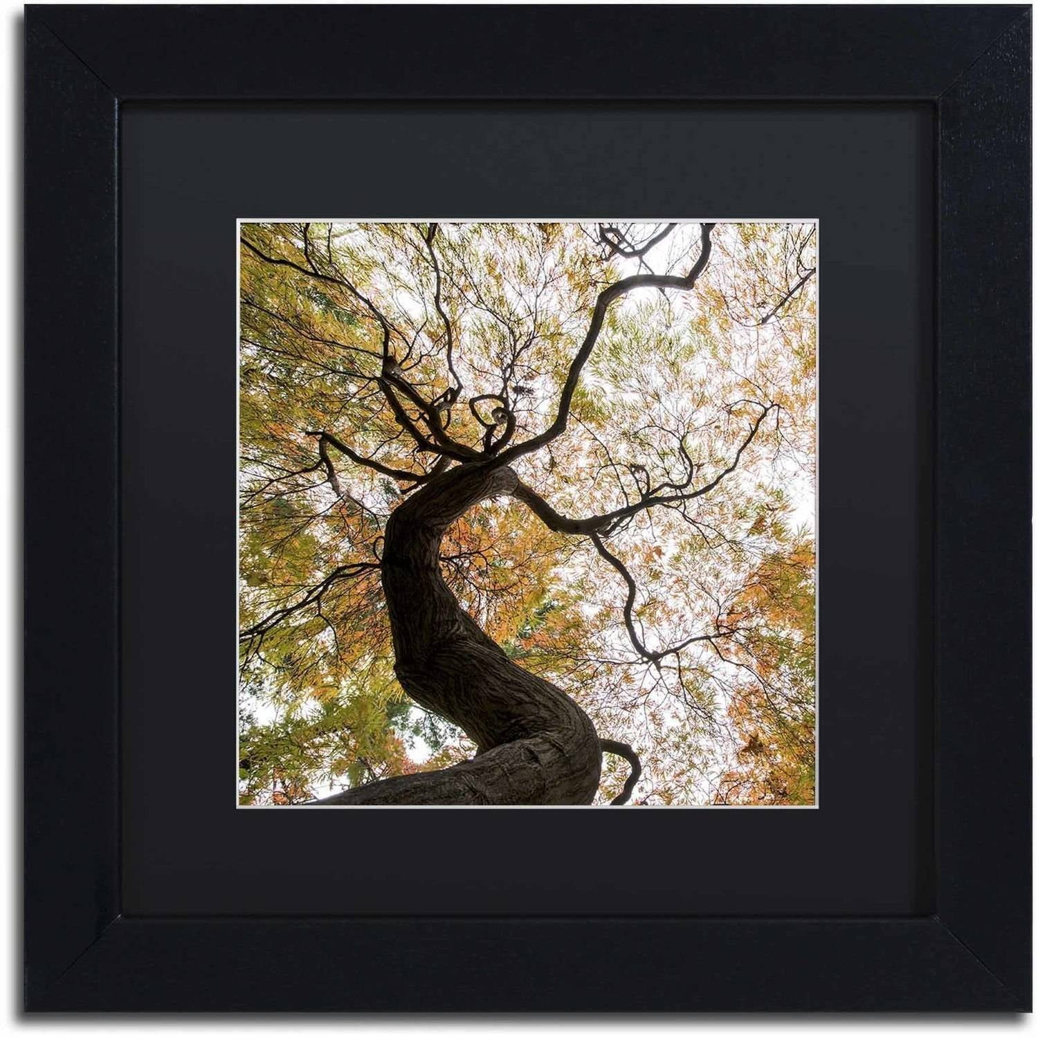 Trademark Fine Art "Under a Japanese Maple 2" Canvas Art by Kurt Shaffer, Black Matte, Black Frame