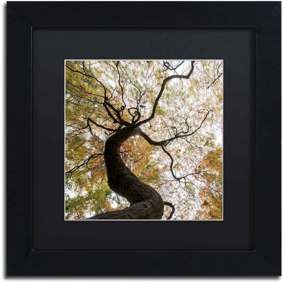 Trademark Fine Art "Under a Japanese Maple 2" Canvas Art by Kurt Shaffer, Black Matte, Black Frame