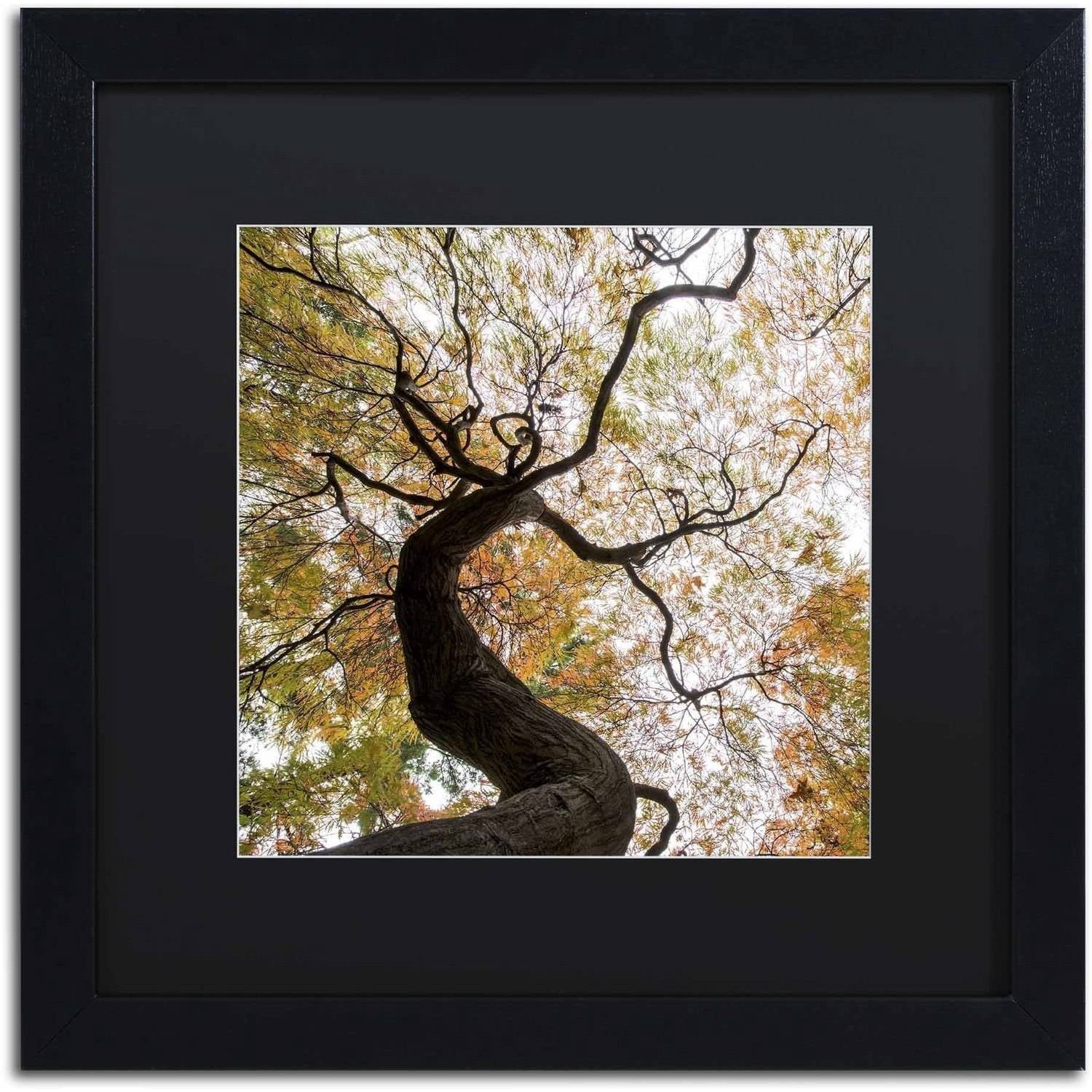 Trademark Fine Art "Under a Japanese Maple 2" Canvas Art by Kurt Shaffer, Black Matte, Black Frame