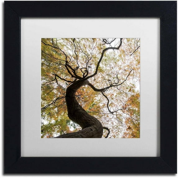 Trademark Fine Art "Under a Japanese Maple 2" Canvas Art by Kurt Shaffer, White Matte, Black Frame