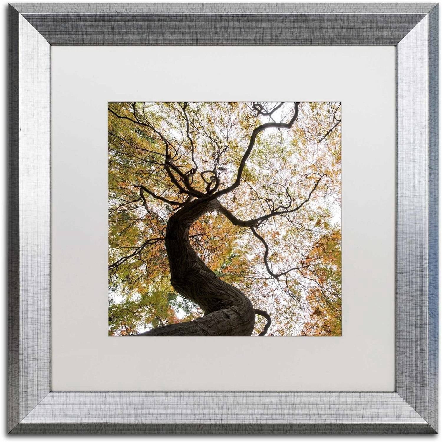 Trademark Fine Art "Under a Japanese Maple 2" Canvas Art by Kurt Shaffer, White Matte, Silver Frame