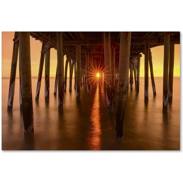 Trademark Fine Art 'Under the Pier' Canvas Art by Michael Blanchette Photography