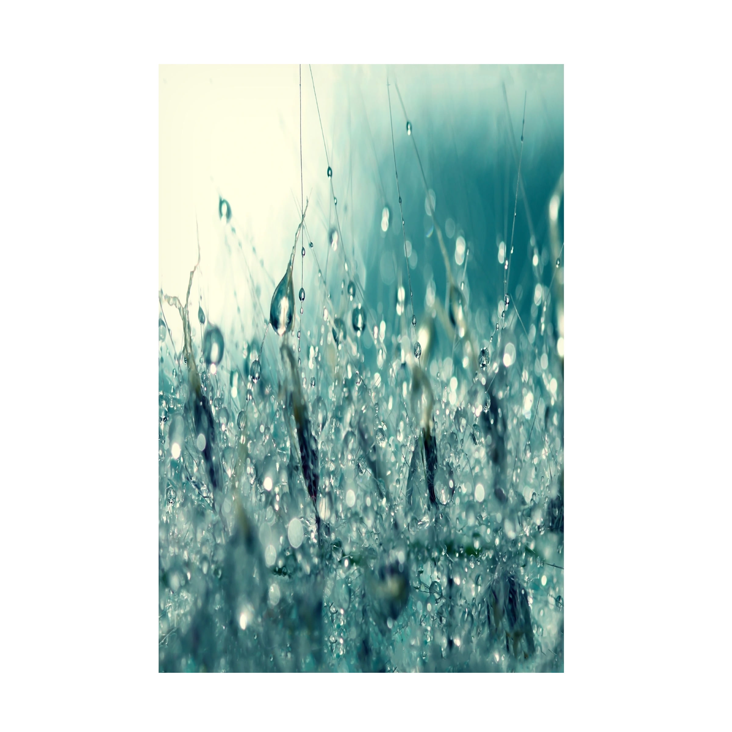 Trademark Fine Art "Under the Sea" Canvas Art by Beata Czyzowska Young