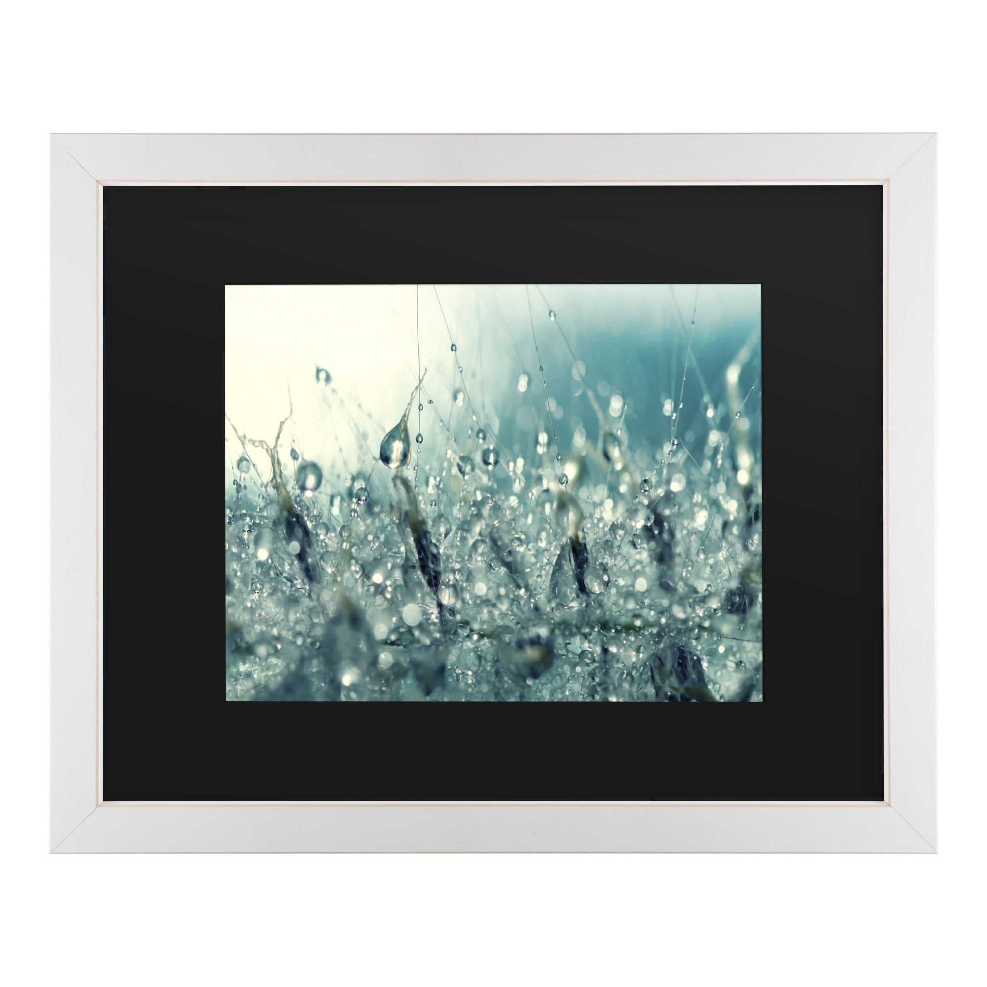 Trademark Fine Art 'Under the Sea' Canvas Art by Beata Czyzowska Young