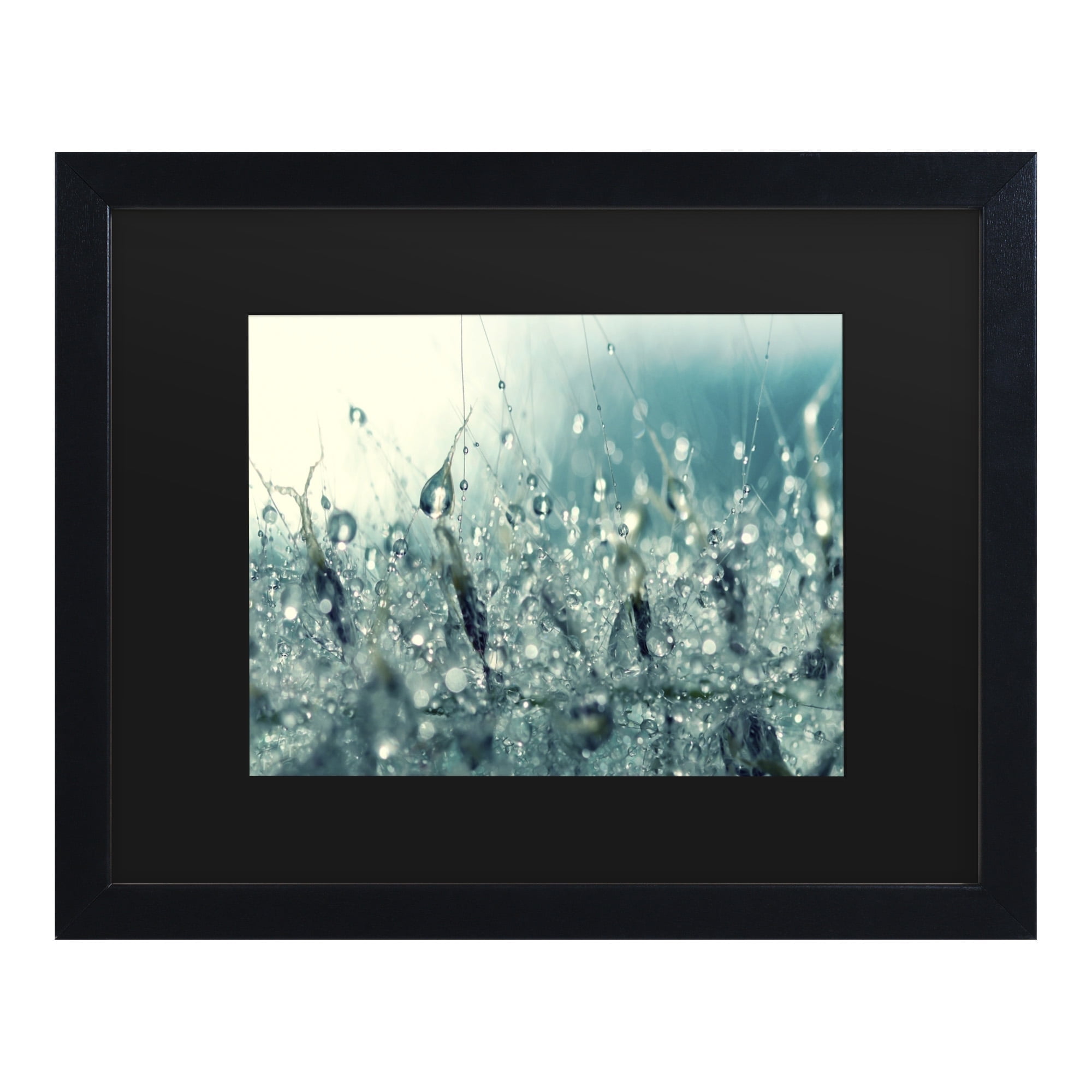 Trademark Fine Art 'Under the Sea' Canvas Art by Beata Czyzowska Young
