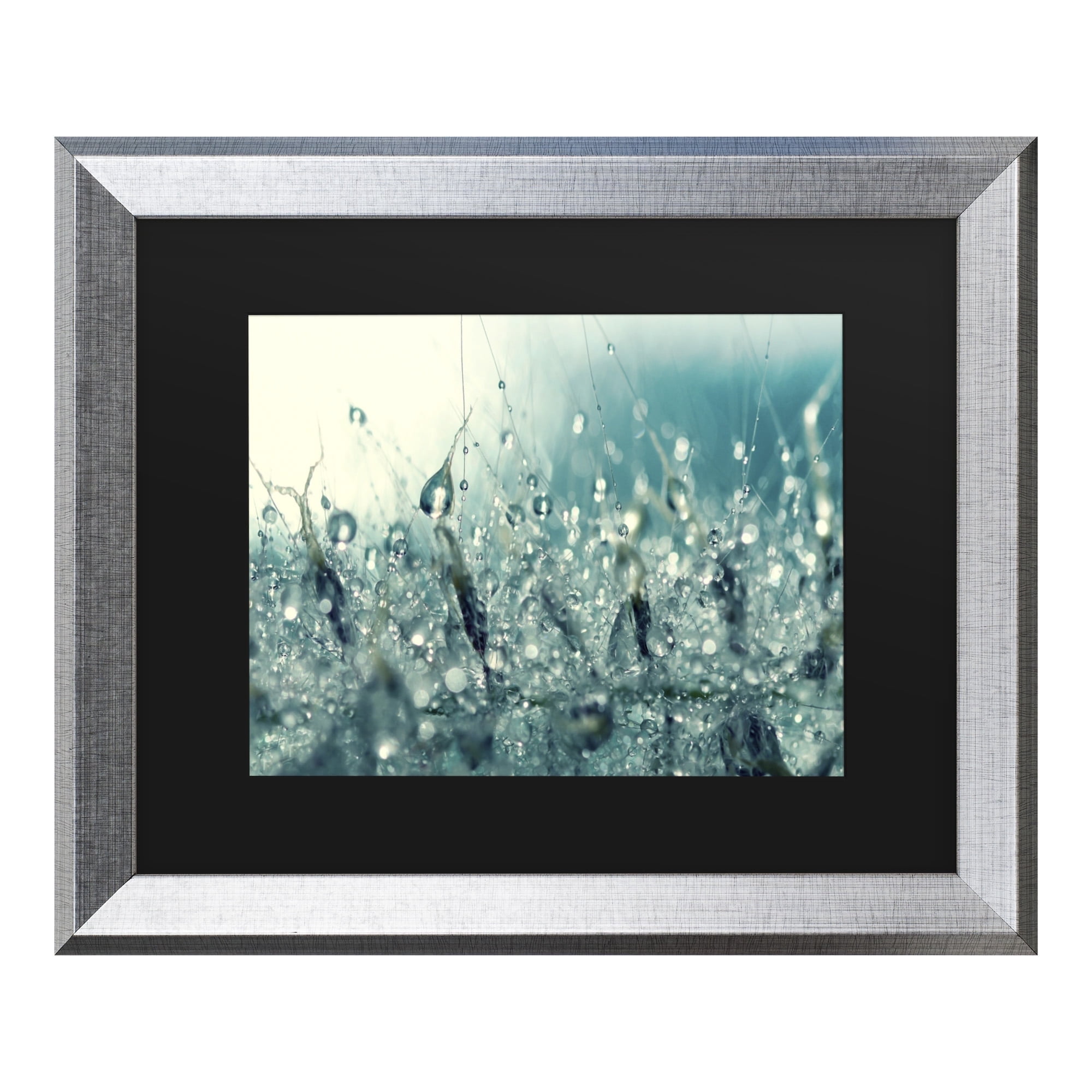 Trademark Fine Art 'Under the Sea' Canvas Art by Beata Czyzowska Young