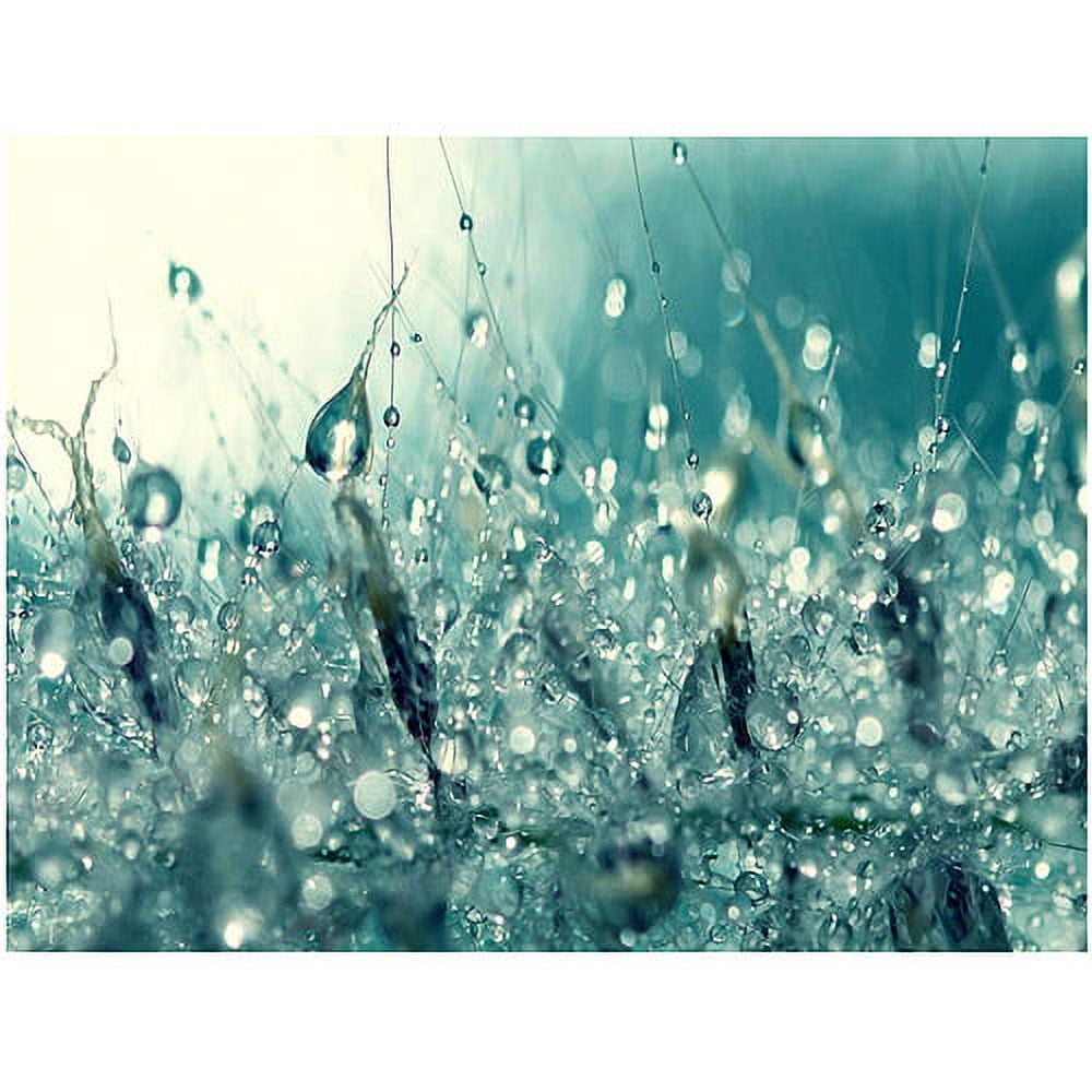 Beata Czyzowska 'Under the Sea' Canvas Art