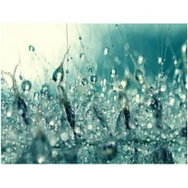 Trademark Fine Art "Under the Sea" Canvas Art by Beata Czyzowska