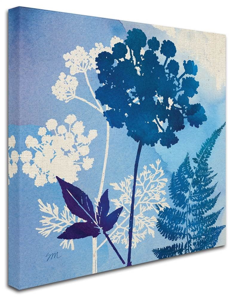 Trademark Fine Art 'Under the Sea I' Canvas Art by Studio Mousseau