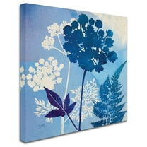 Trademark Fine Art 'Under the Sea I' Canvas Art by Studio Mousseau