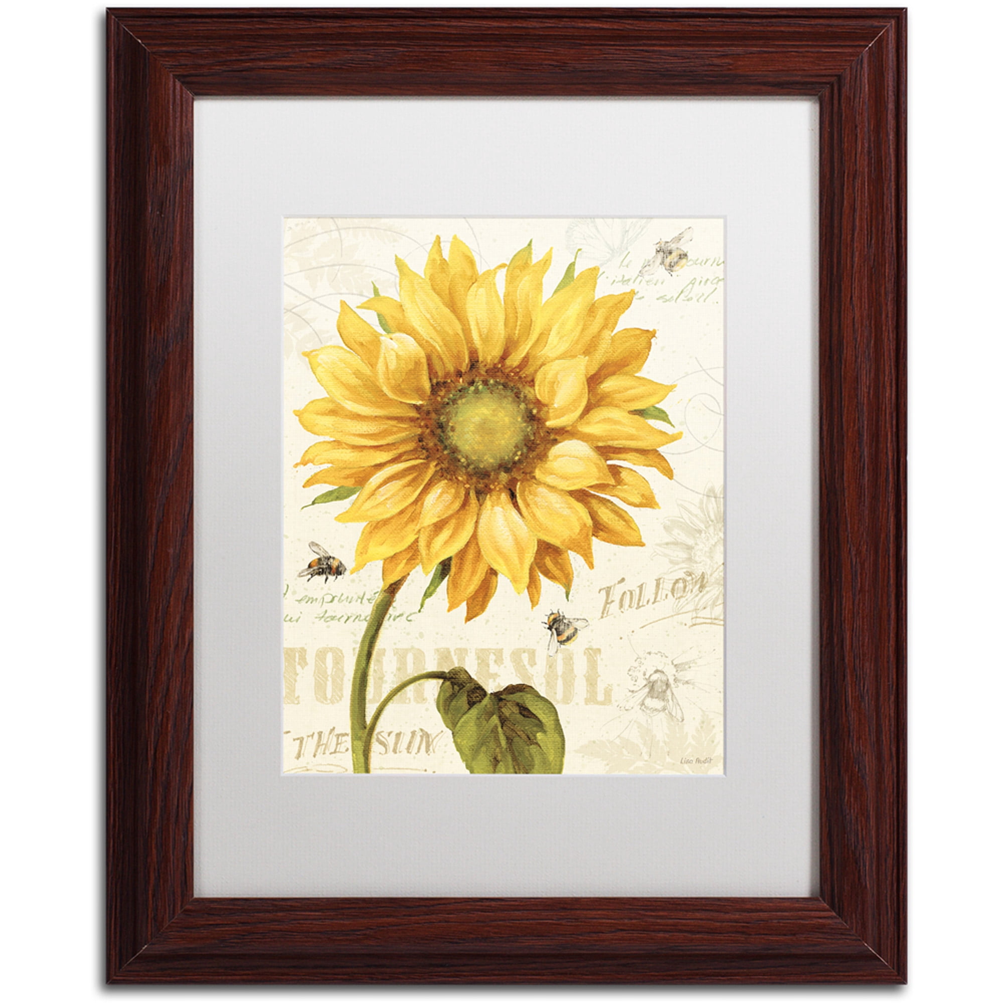 Trademark Fine Art "Under the Sun I" Canvas Art by Lisa Audit, White Matte, Wood Frame