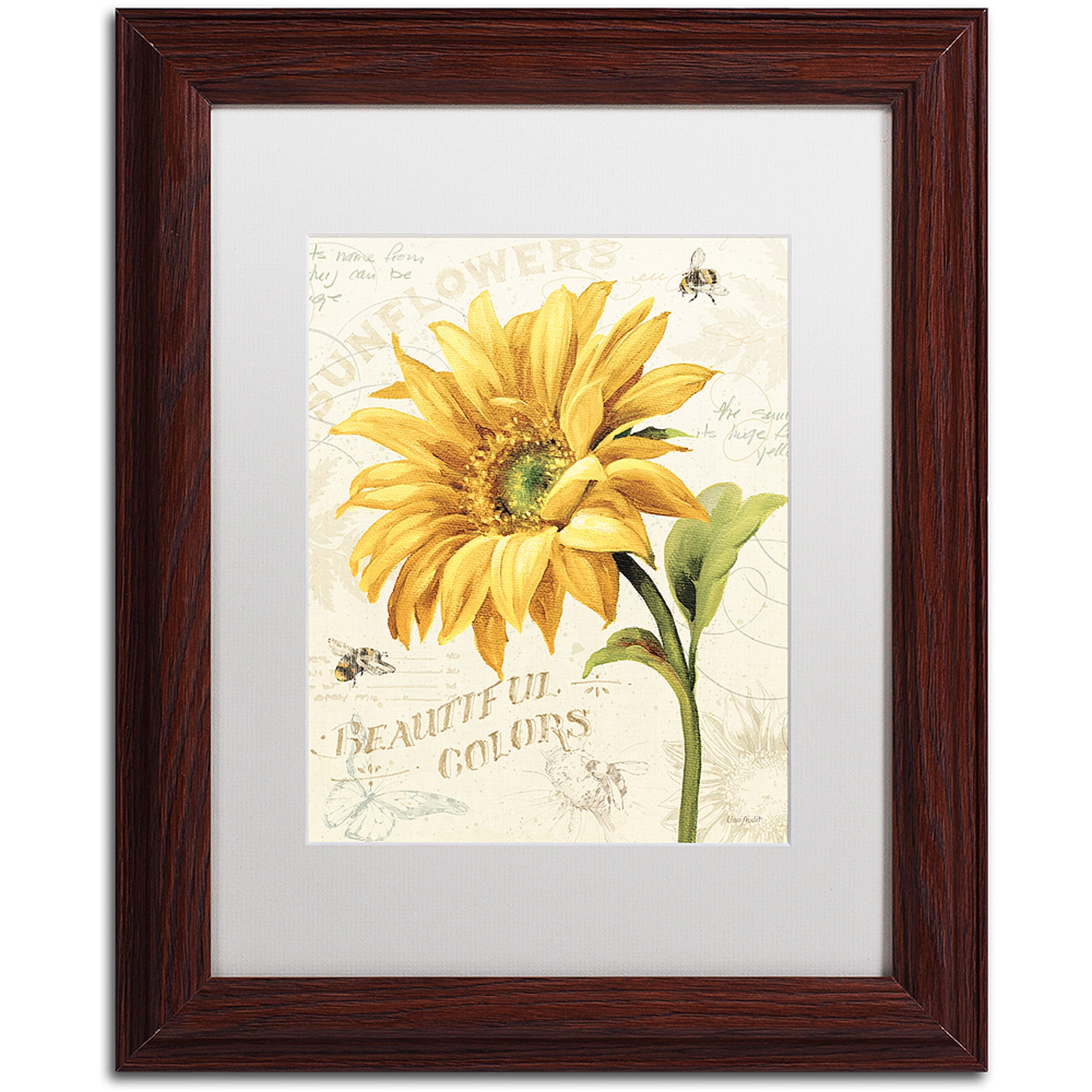 Trademark Fine Art "Under the Sun II" Canvas Art by Lisa Audit, White Matte, Wood Frame
