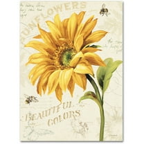 Trademark Fine Art "Under the Sun II" Canvas Art by Lisa Audit