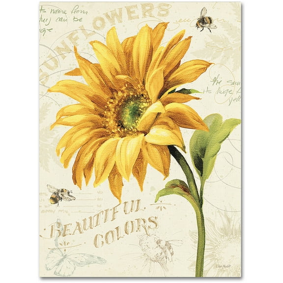 Trademark Fine Art "Under the Sun II" Canvas Art by Lisa Audit