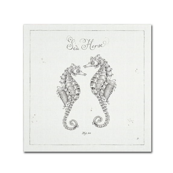 Trademark Fine Art 'Underwater Life V' Canvas Art by Daphne Brissonnet