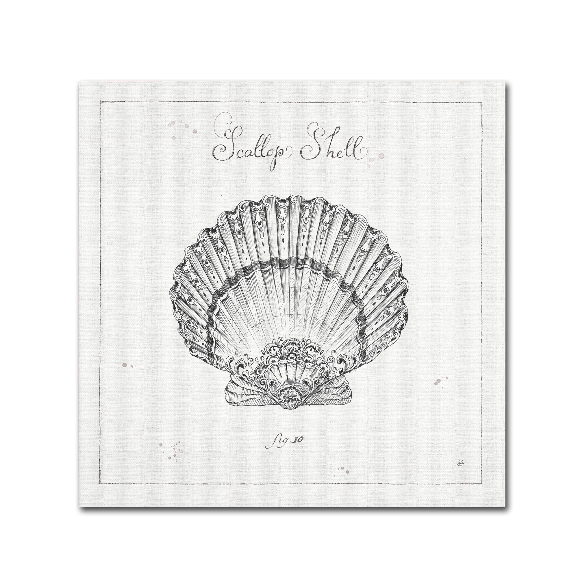 Trademark Fine Art 'Underwater Life VII' Canvas Art by Daphne