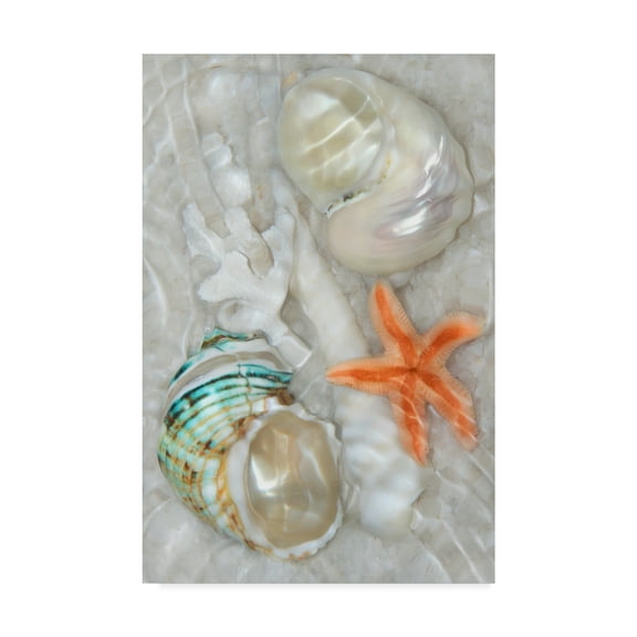 Trademark Fine Art 'Underwater Light Waves II' Canvas Art by Leda Robertson