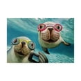 thumbnail image 1 of Trademark Fine Art 'Underwater Selfie' Canvas Art by Lucia Hefferna, 1 of 3