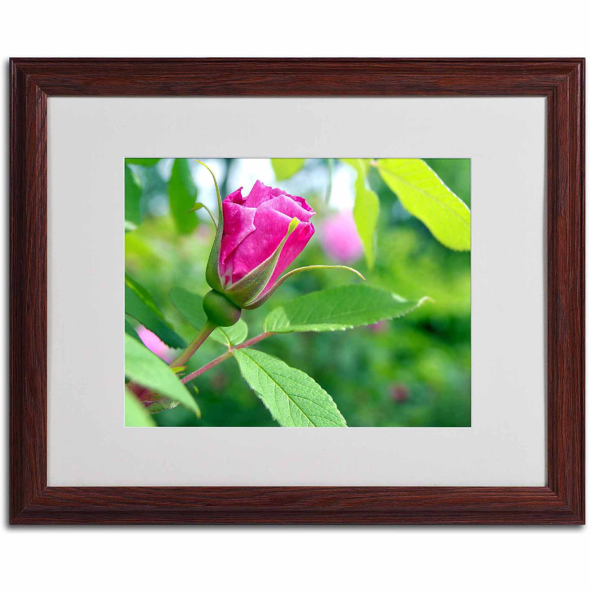 Trademark Fine Art "Unfolding Transformation" Canvas Art by Monica Fleet, White Matte, Wood Frame