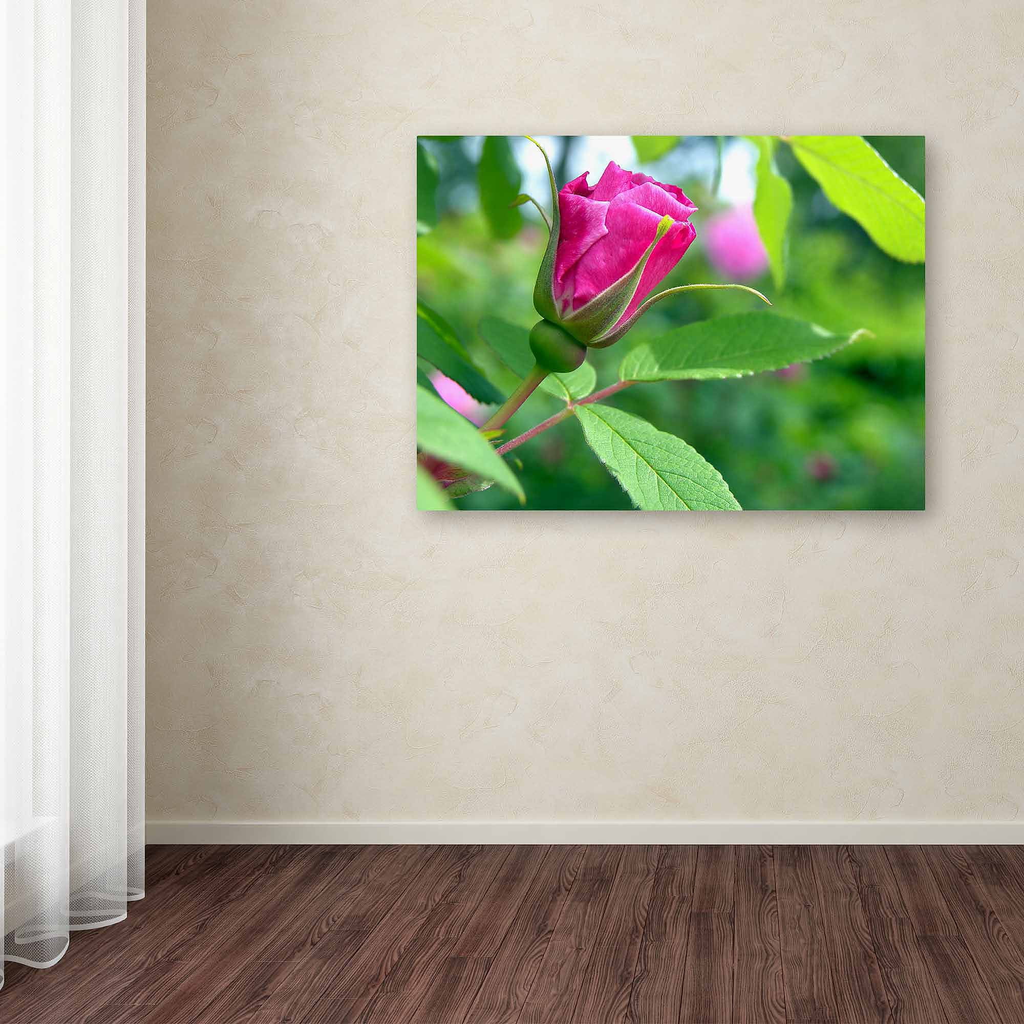 Trademark Fine Art "Unfolding Transformation" Canvas Art by Monica Fleet