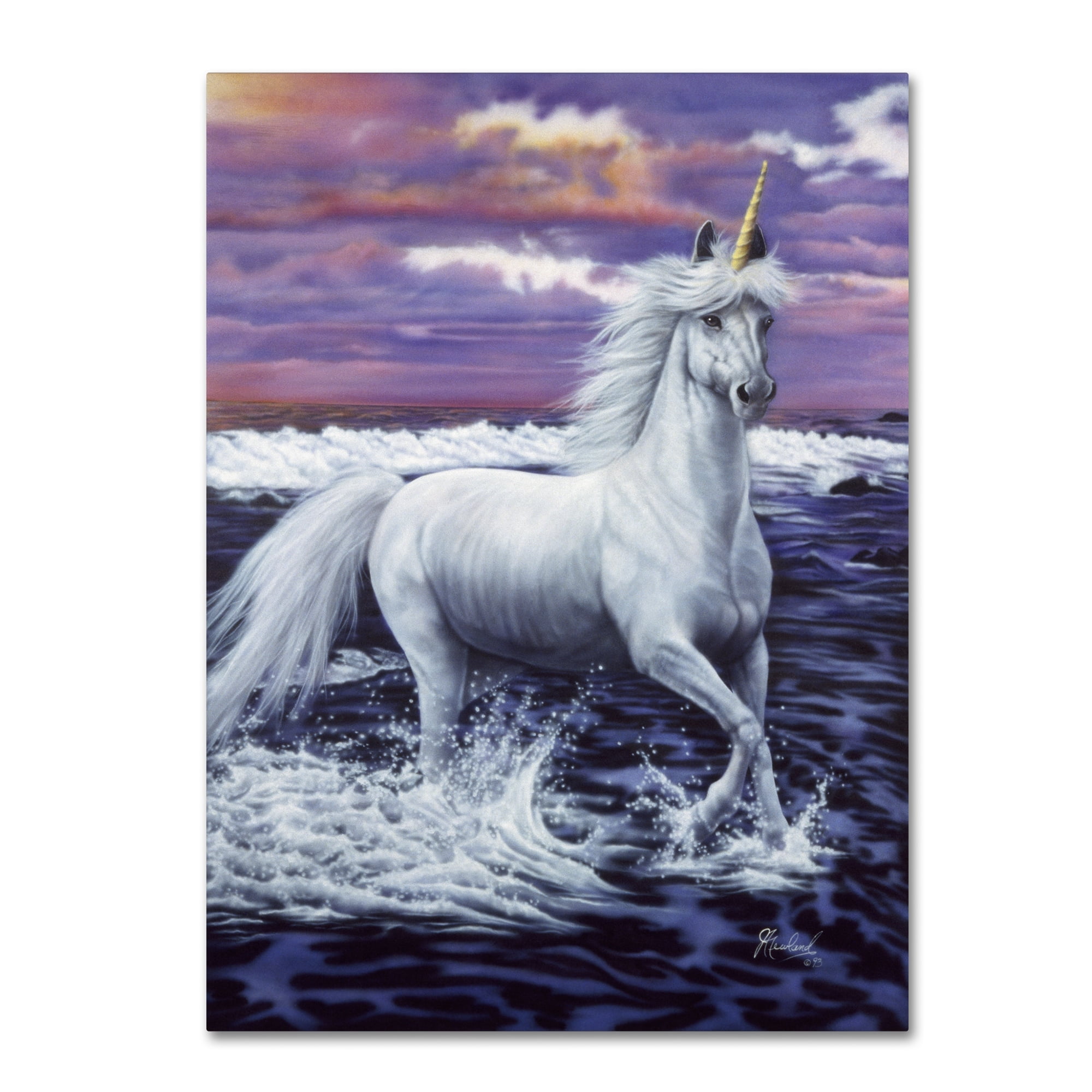 Trademark Fine Art 'Unicorn' Canvas Art by Jenny Newland